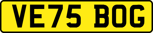 VE75BOG