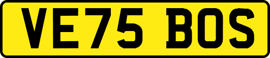VE75BOS