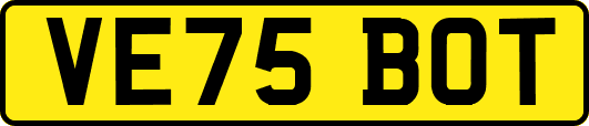 VE75BOT