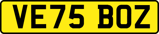 VE75BOZ