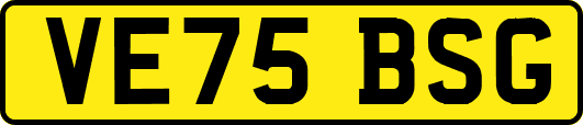 VE75BSG