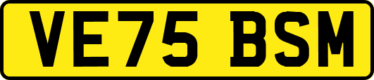 VE75BSM