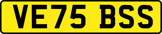 VE75BSS