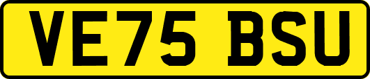 VE75BSU