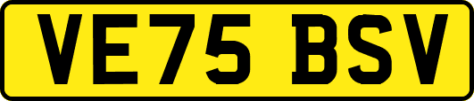 VE75BSV