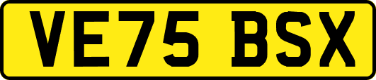 VE75BSX