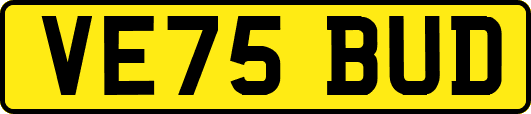 VE75BUD