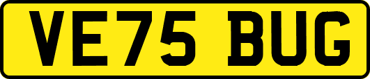 VE75BUG