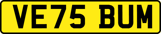 VE75BUM