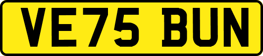 VE75BUN