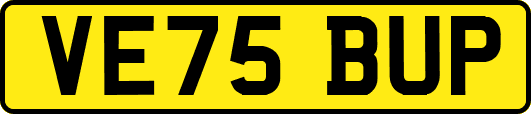 VE75BUP