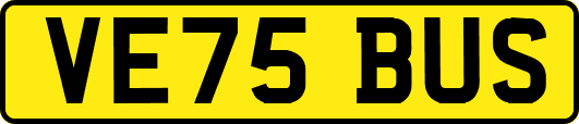 VE75BUS
