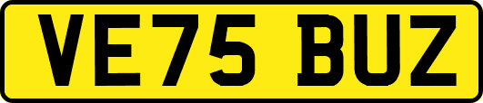 VE75BUZ