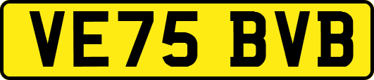 VE75BVB