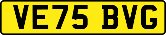 VE75BVG