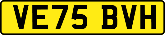 VE75BVH