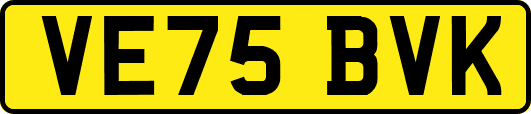 VE75BVK