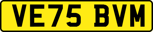 VE75BVM