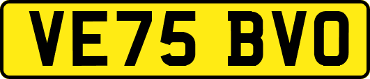 VE75BVO