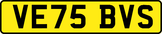 VE75BVS