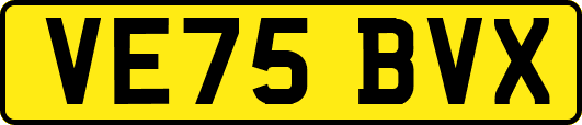 VE75BVX