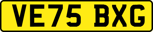VE75BXG