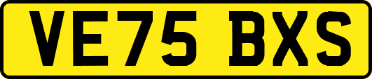 VE75BXS