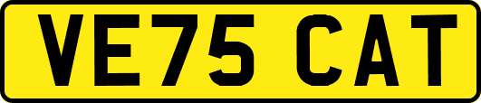 VE75CAT