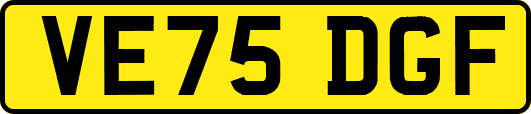VE75DGF