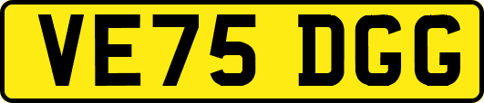 VE75DGG