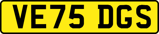 VE75DGS