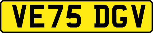 VE75DGV