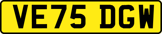 VE75DGW