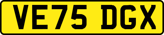 VE75DGX