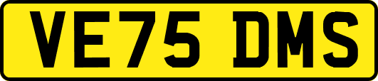 VE75DMS