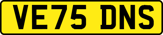 VE75DNS