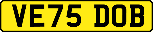 VE75DOB