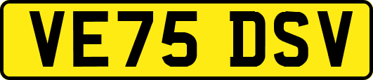 VE75DSV