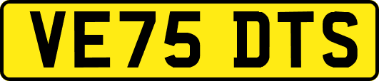 VE75DTS