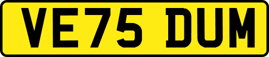 VE75DUM