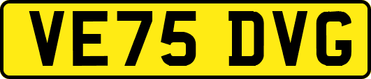 VE75DVG