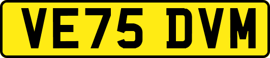 VE75DVM