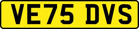 VE75DVS