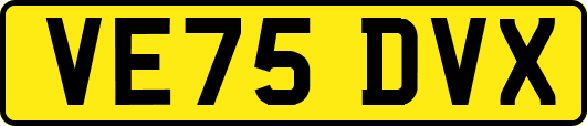 VE75DVX
