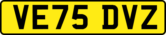 VE75DVZ