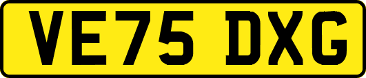 VE75DXG