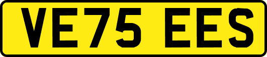 VE75EES