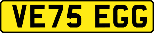 VE75EGG