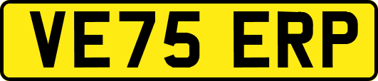 VE75ERP