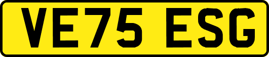 VE75ESG
